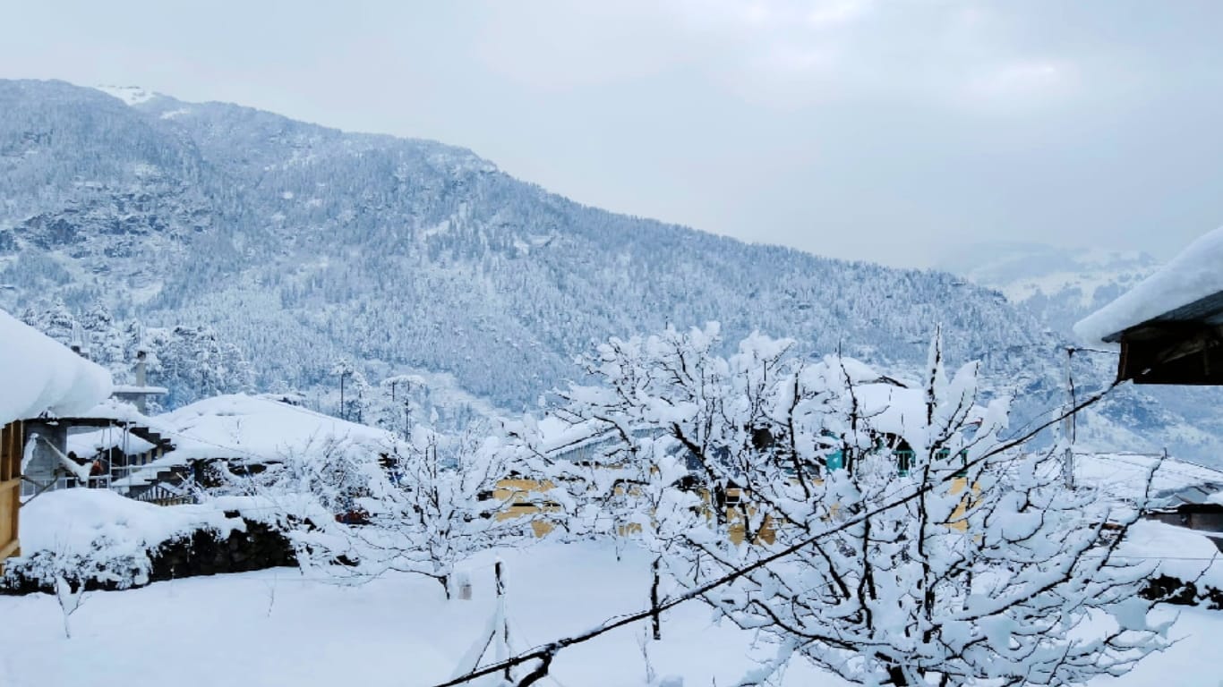 Himachal Weather update, Snowfall in Manali, Narkanda, Kinnaur, 276 roads and 172 transformers closed