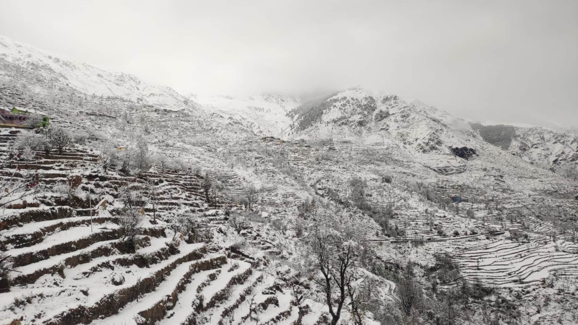 Weather news if snowfall keep remaining in hilly states mercury may dip upto zero degree celcius in plain area