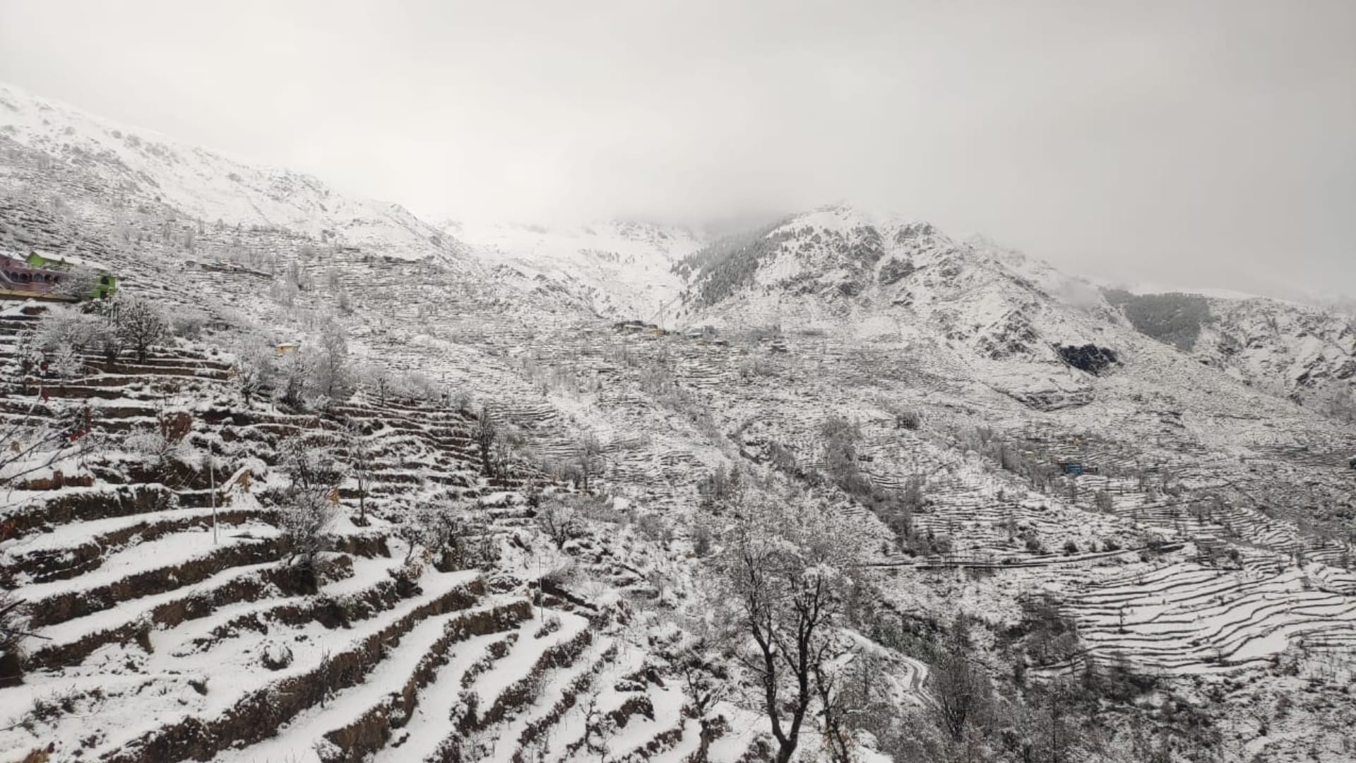 Weather news if snowfall keep remaining in hilly states mercury may dip upto zero degree celcius in plain area