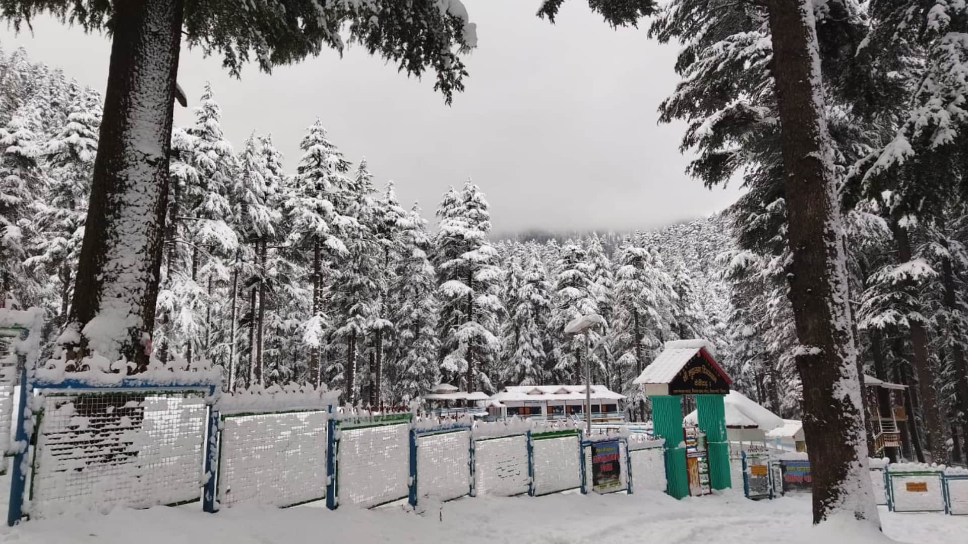 Weather news if snowfall keep remaining in hilly states mercury may dip upto zero degree celcius in plain area