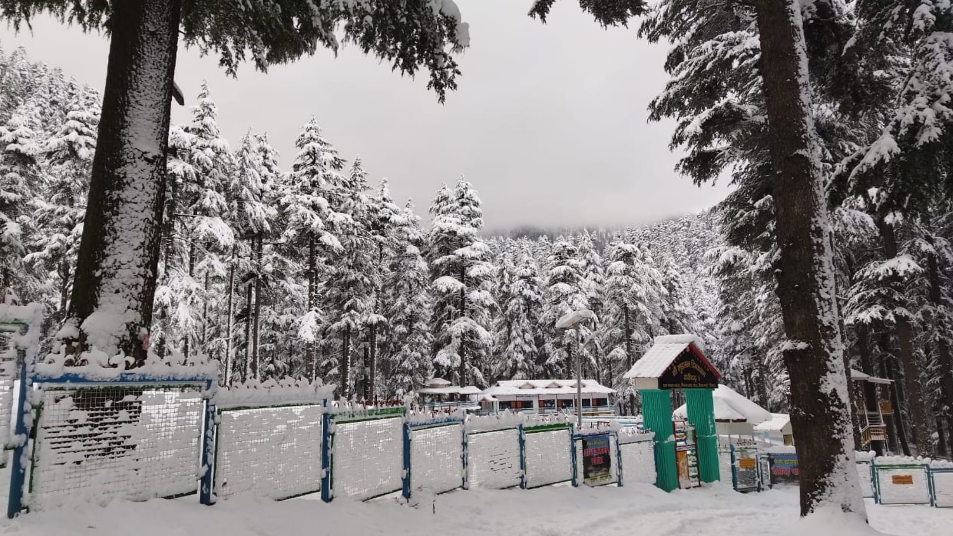 Weather news if snowfall keep remaining in hilly states mercury may dip upto zero degree celcius in plain area