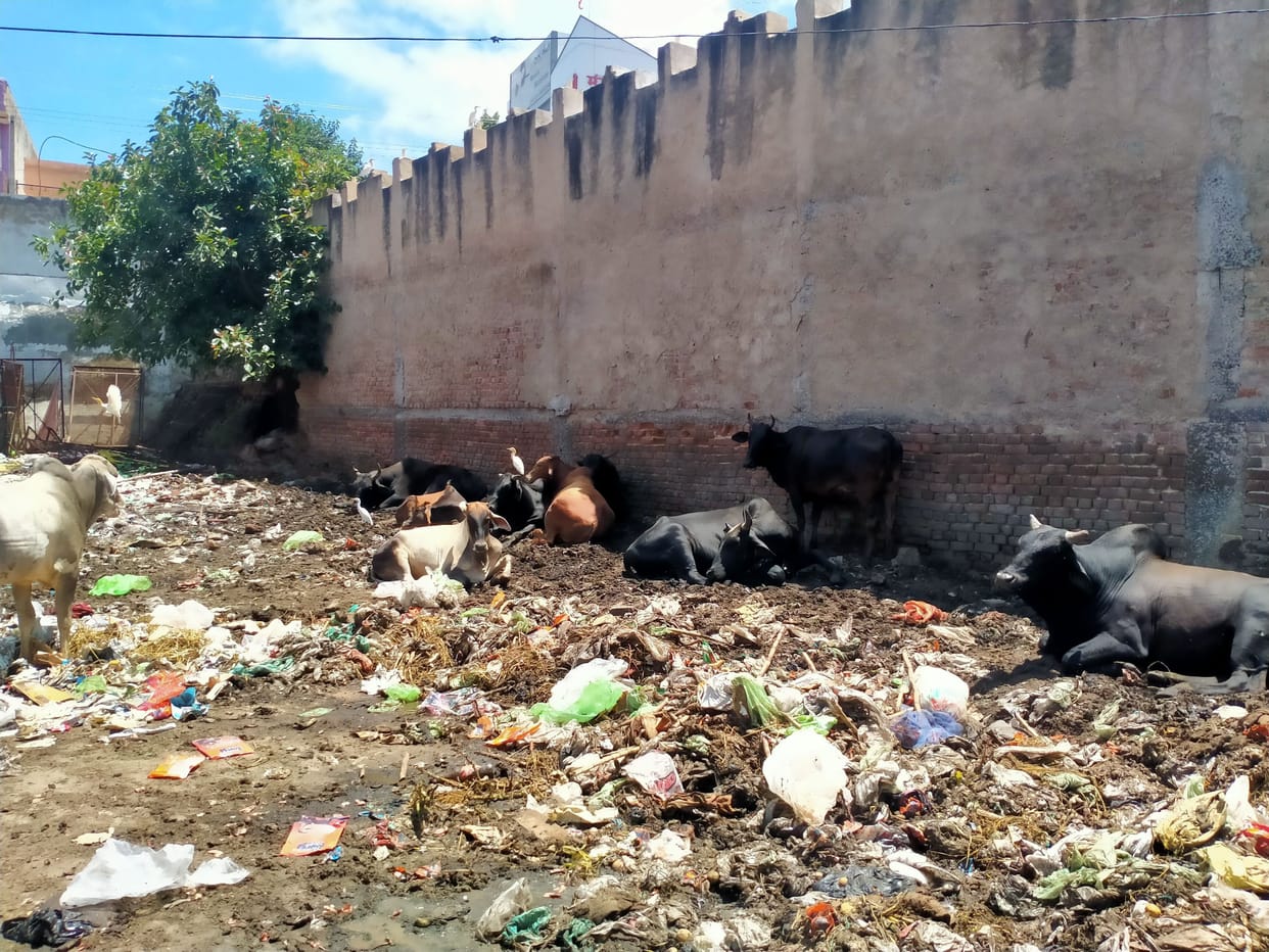There is no cleanliness in the city on Sundays, the employees of the officers also remain on leave