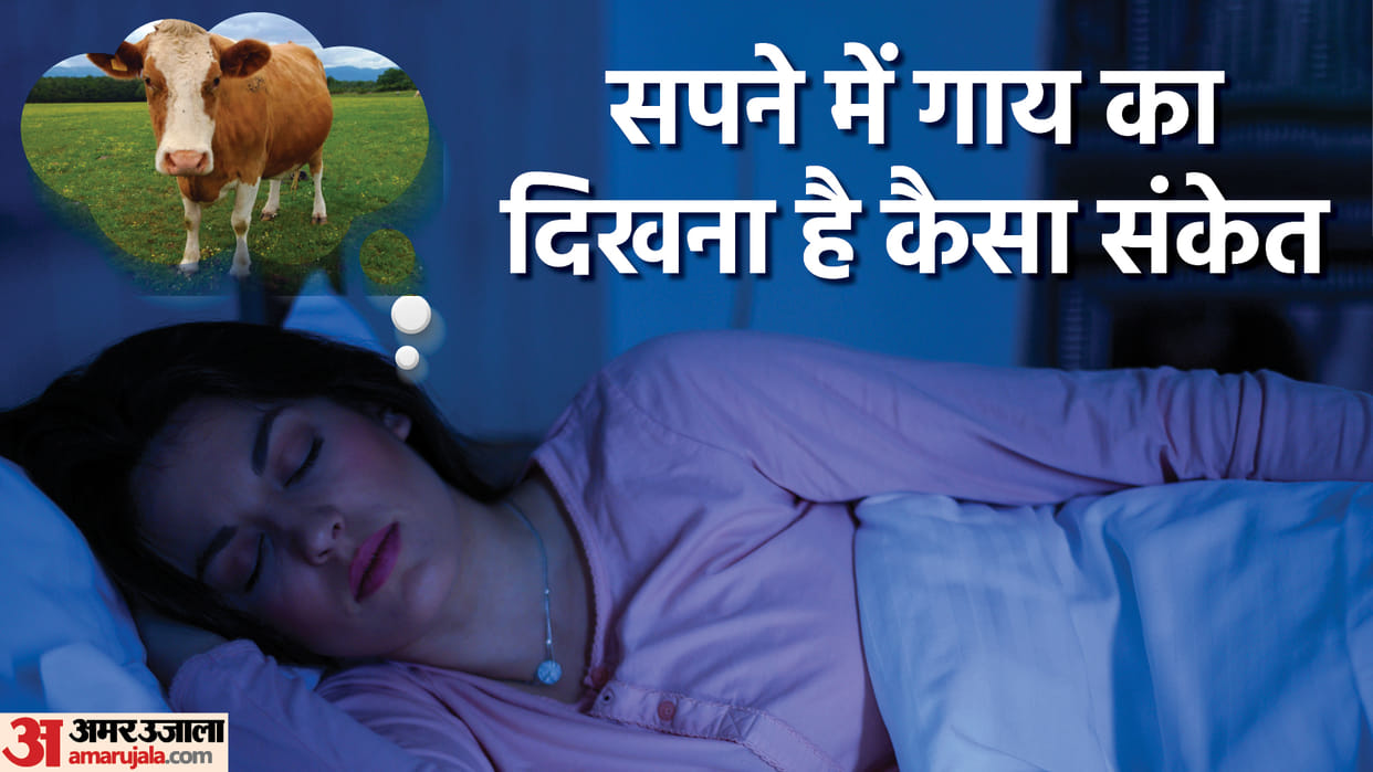 Dream Interpretation Seeing a Cow in a Dream Is Auspicious It is a Sign of Getting Money Swapna Shastra