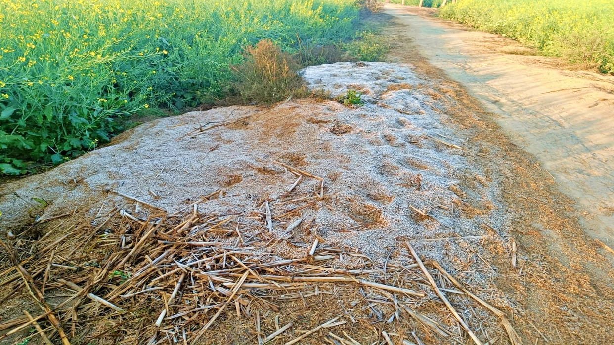 Cold wave again in Rajasthan, temperature minus 4.7 degree in Fatehpur