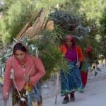 आपदा ने जोशीमठ में खड़ा किया बड़ा संकट।
