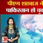 पीएम शहबाज़ शरीफ़