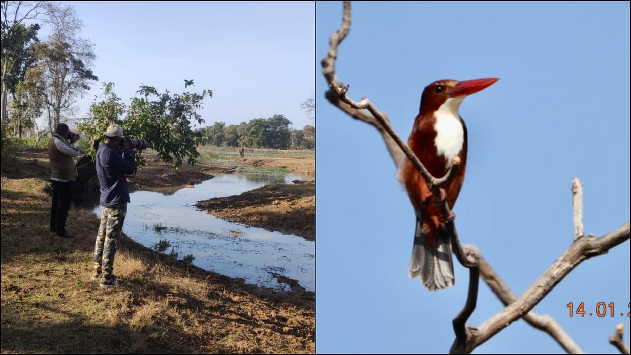 Nauradehi Wildlife Sanctuary 180 species of birds found in bird survey in nauradehi mp