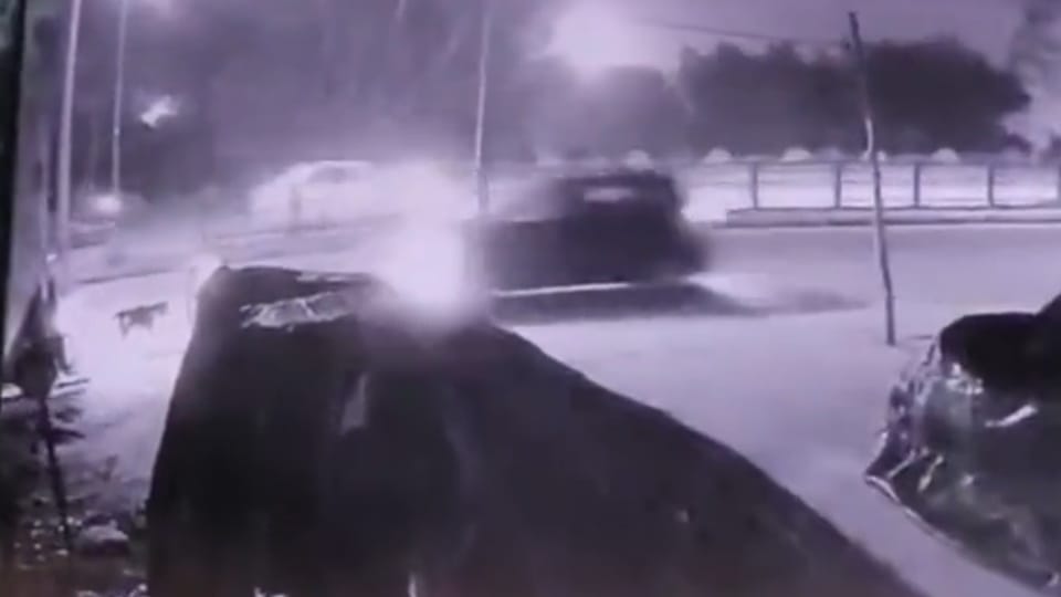 Woman feeding dogs hit by speeding car coming from wrong direction in chandigarh