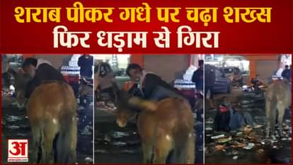 Donkey also rejected a drunkard in Chhatarpur when he tried to sit on his back he fell on the ground