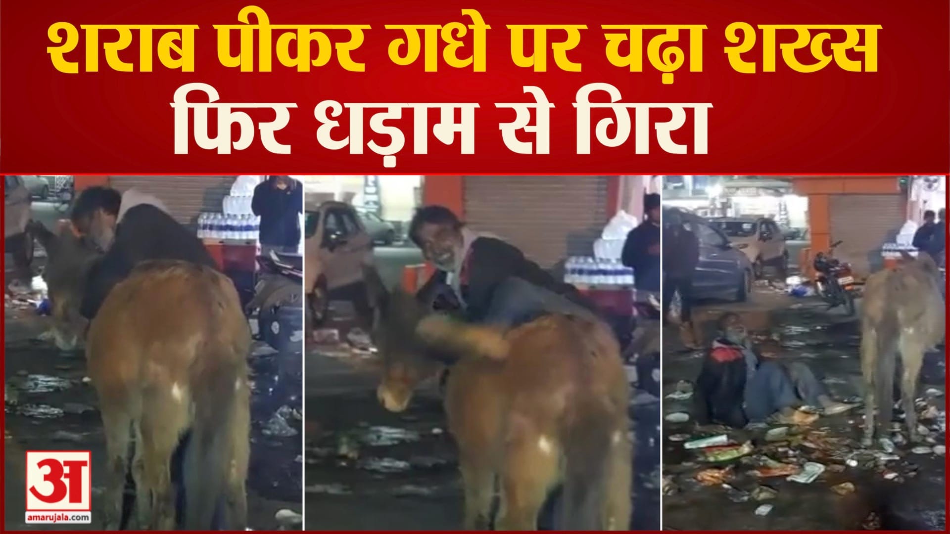 गधे को शराबी ने भी नकारा