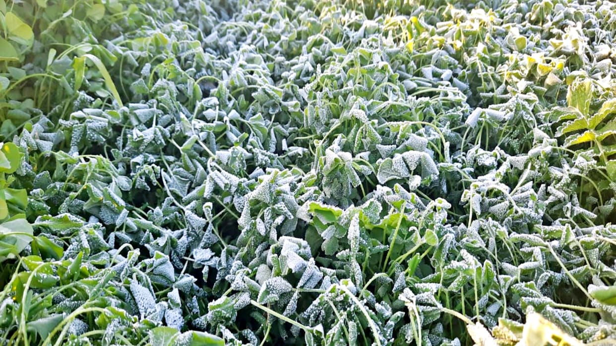 Temperature running in minus in Jobner for two days