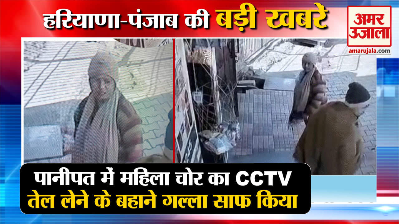 हरियाणा न्यूज
