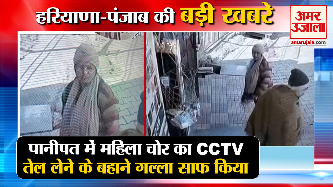 हरियाणा न्यूज