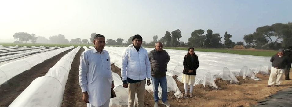 Farmers grow off-season vegetables and fruits with low tunnel method department is giving grant