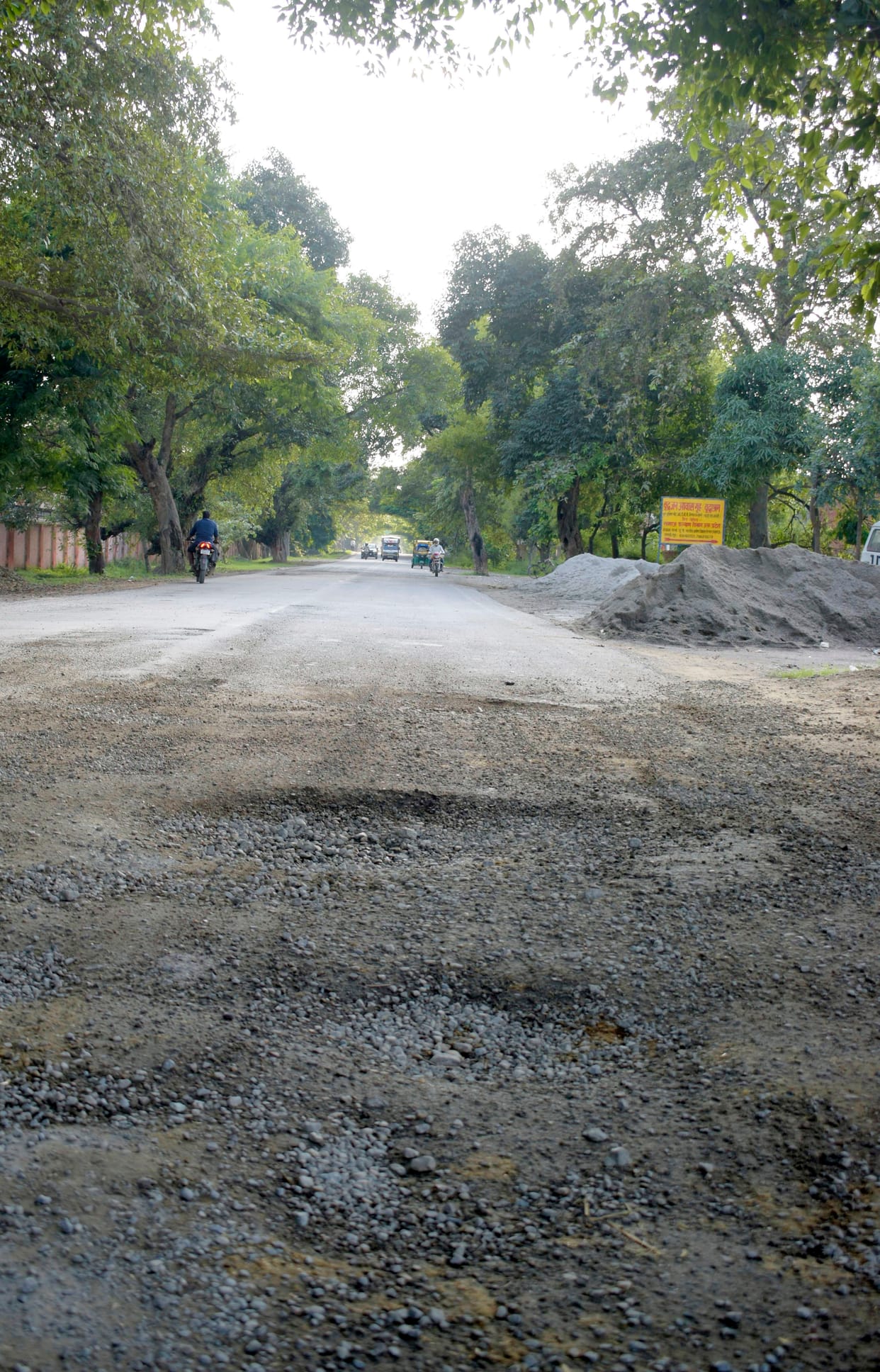 The work of cutting six thousand trees started between Lal Phatak and Ramganga