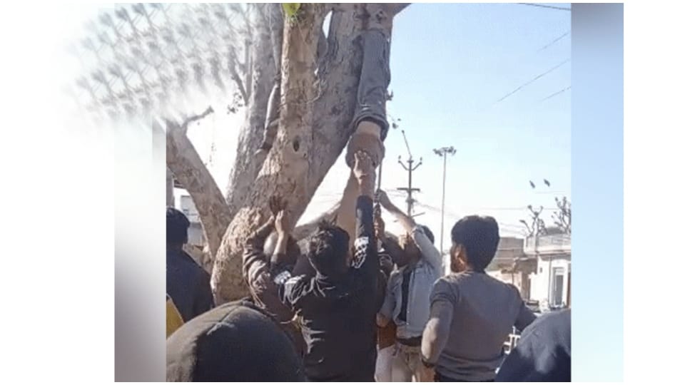 Lord Shiva idol broken in jhunjhunu mob thrashes youth Rajasthan News