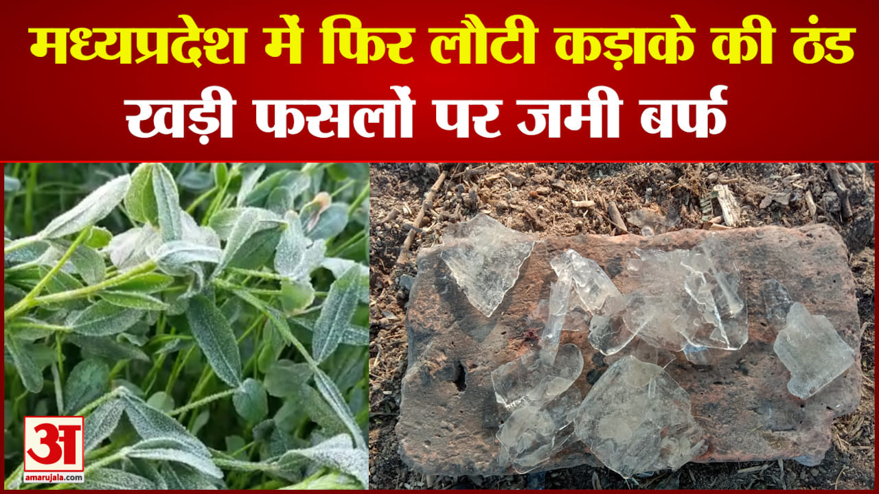 रतलाम में कड़ाके की ठंड