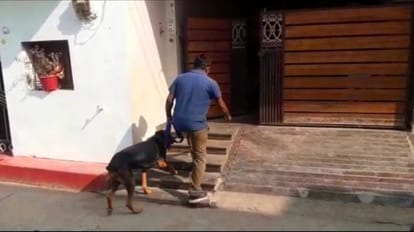 चोरी की सूचना पर पहुंचा डॉग स्क्वॉड।