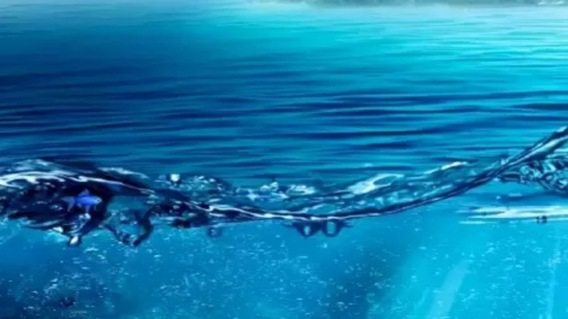 Optical Illusion for IQ Test: spot the hidden Fish In This Sea Check Your Brain Iq
