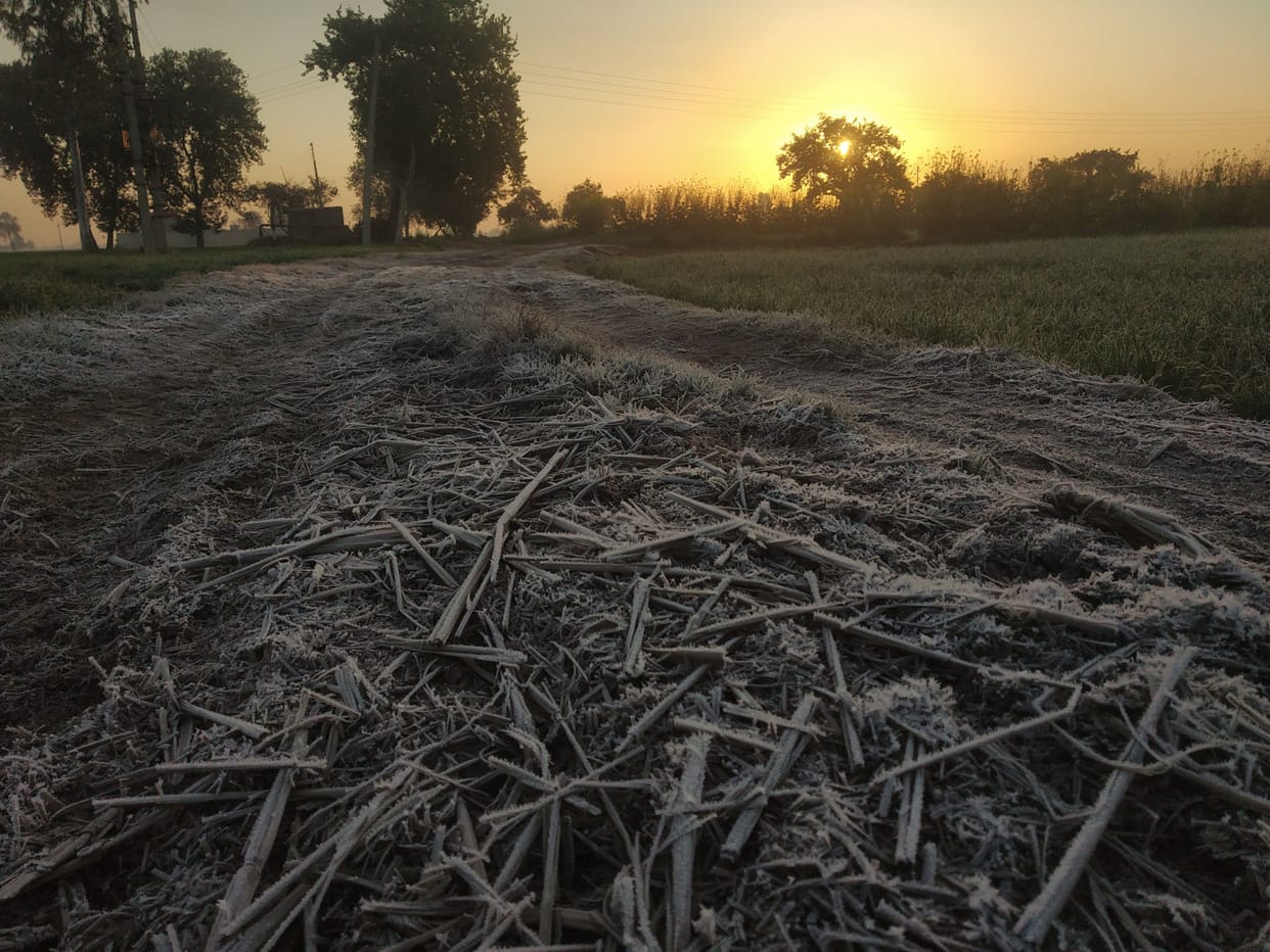 Mercury breaks record, minimum temperature reaches 0.2 degree, lowest in decade
