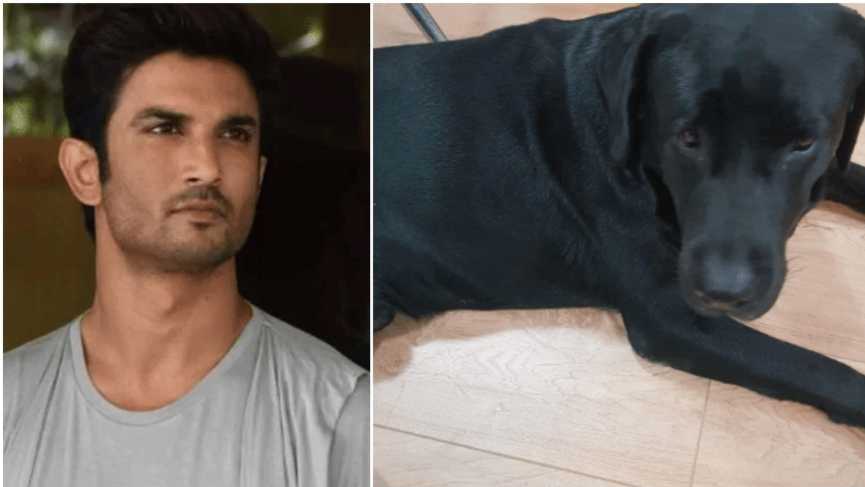 Sushant Singh Rajput pet dog fudge dies Priyanka singh shares a moving post on social media