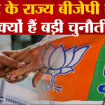 भाजपा