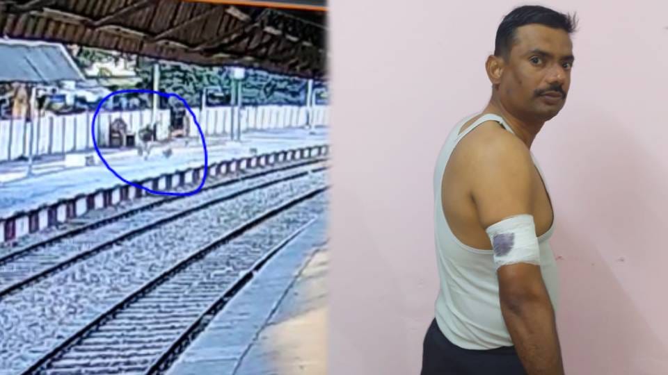 RPF constable injured by monkeys while patrolling platform in Agra