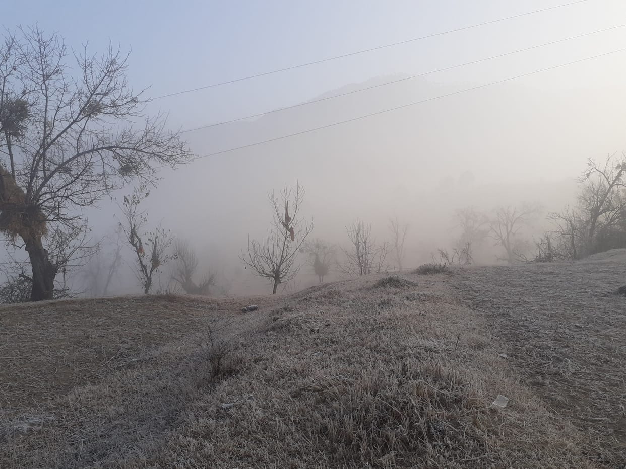 Max Temp Dips Three Degree in Almora