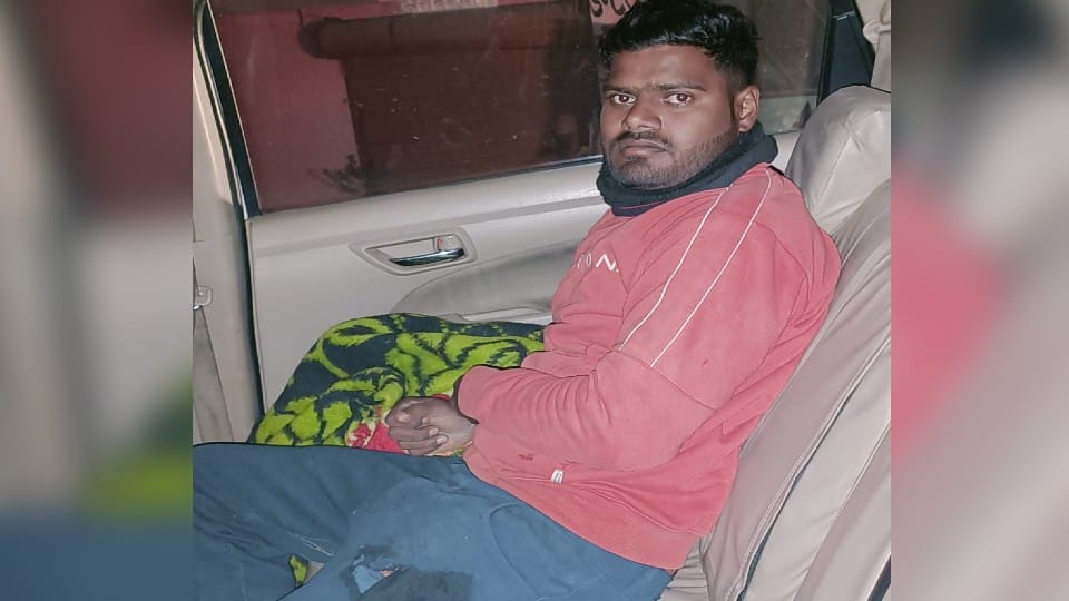 tiger attacked three men on puranpur khatima road in pilibhit