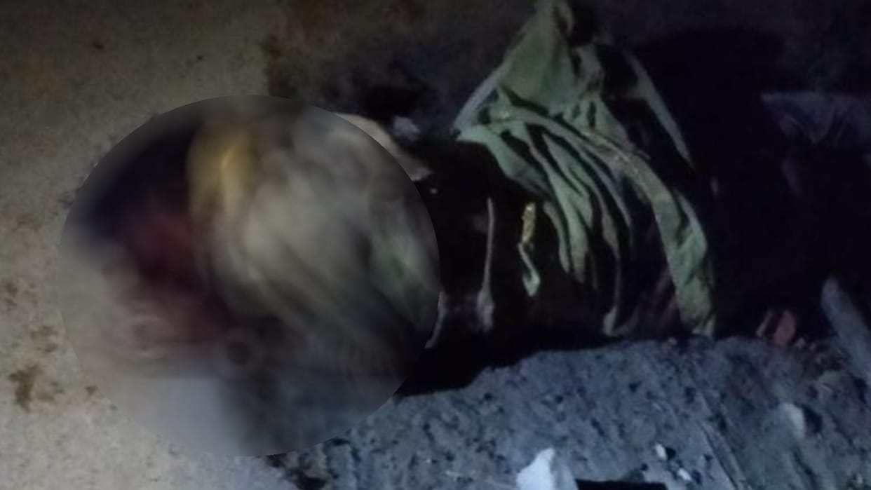 wild elephants killed a man in bahraich.