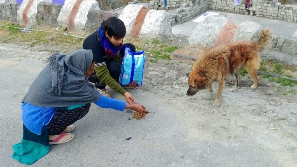 Greater Noida team reached to help dogs in Joshimath