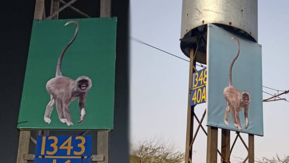 To drive away monkeys from railway stations in Agra, the railway administrator has installed langur catalog