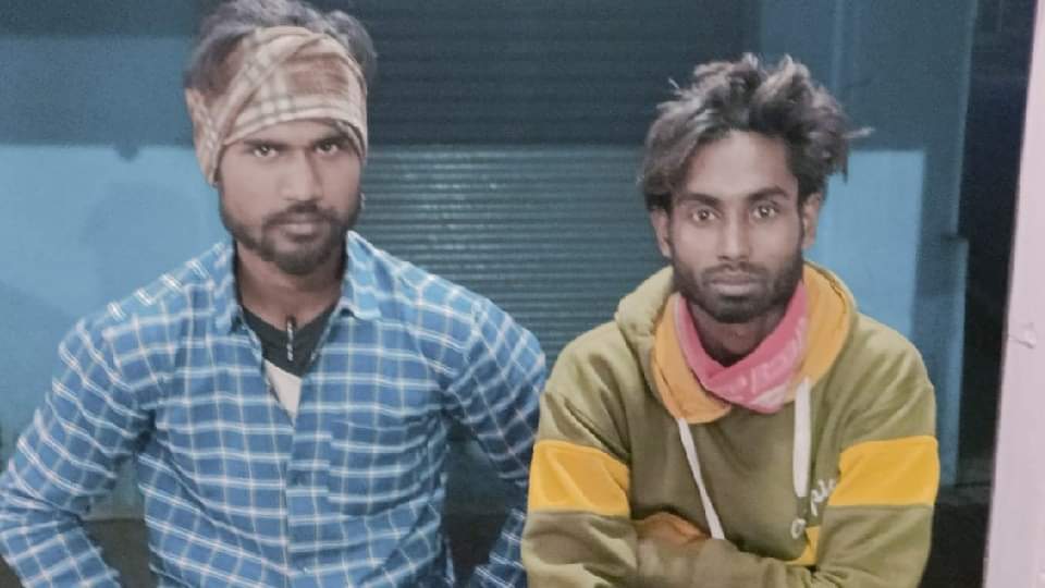 Tiger sitting on the road near Pilibhit Tiger Reserve