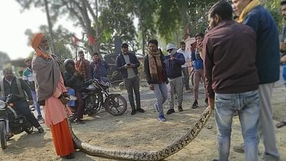 जवां में पकड़ा गया अजगर