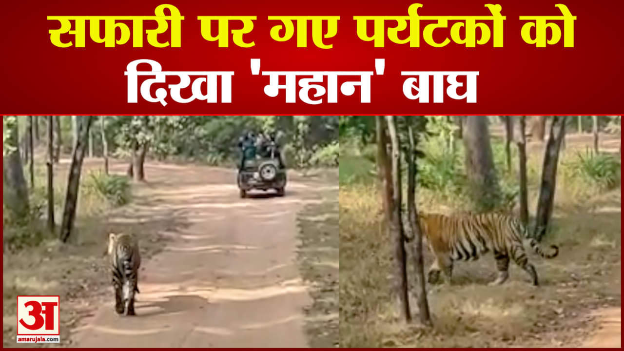 बांधवगढ़ टाइगर रिजर्व