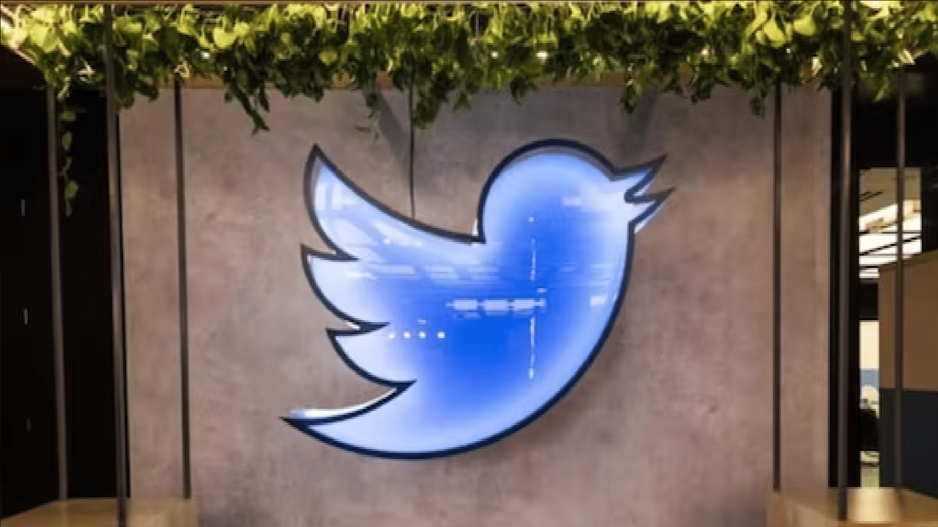 Elon Musk Twitter Auctions