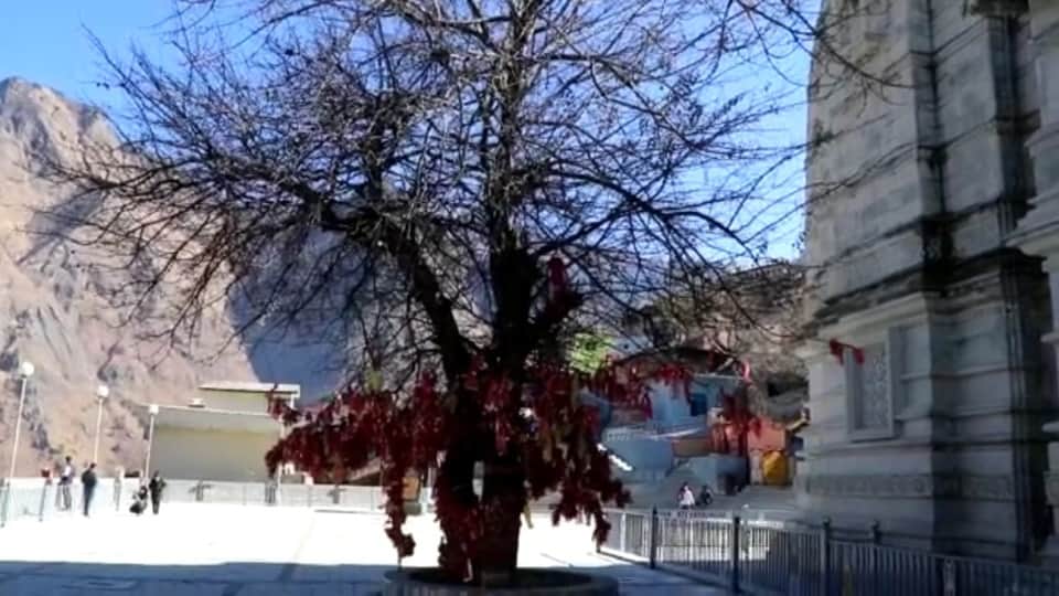 Joshimath Is Sinking Know badrinath dham entry point Narsingh temple Interesting Facts in hindi