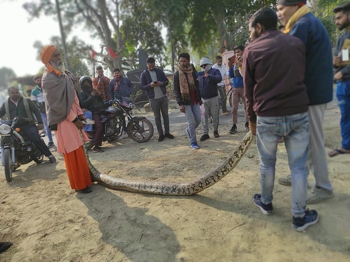 After leopard ten feet 100 kg python found in Aligarh
