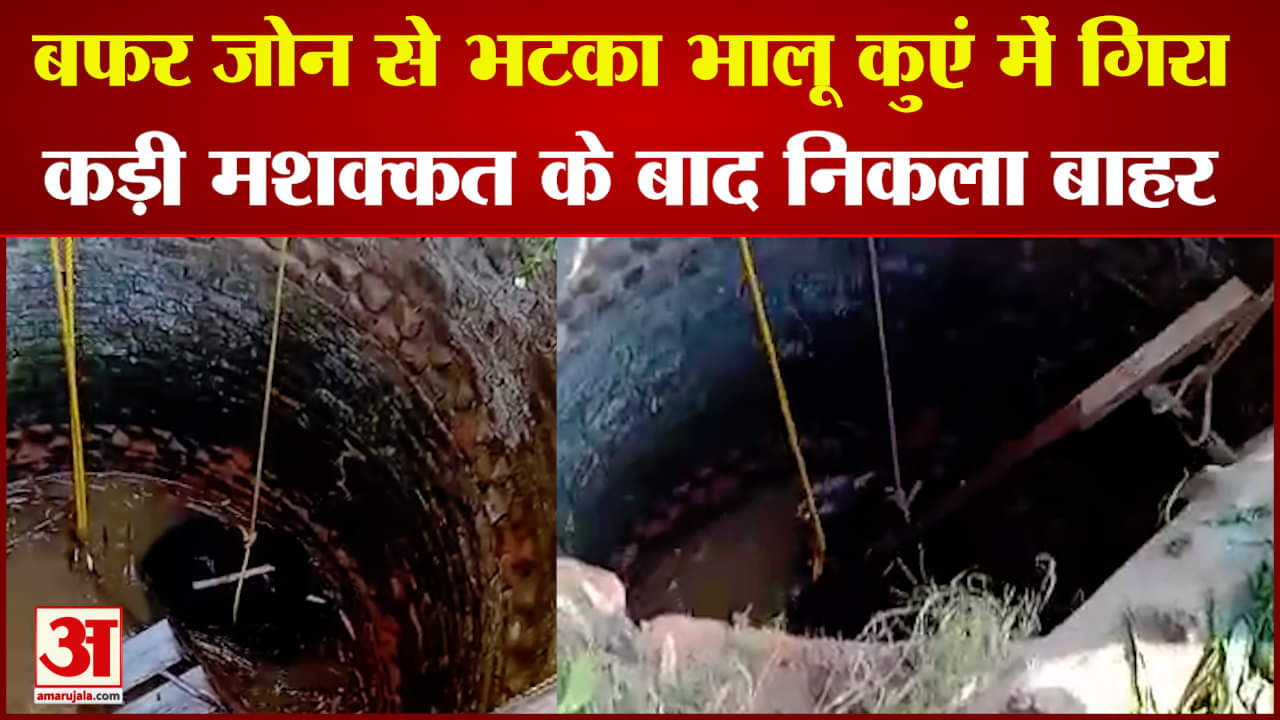 कुएं में गिरा भालू
