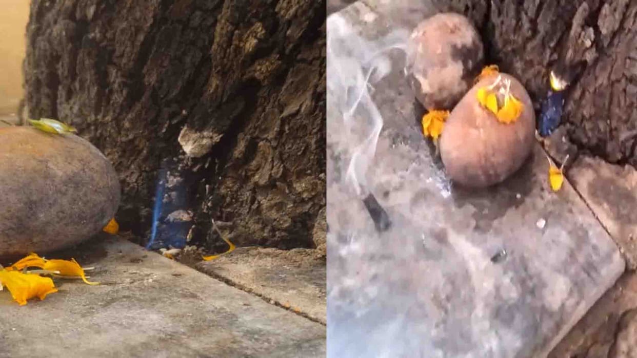 Kanpur: found lit lamp under the neem tree In the Sankat Mochan temple