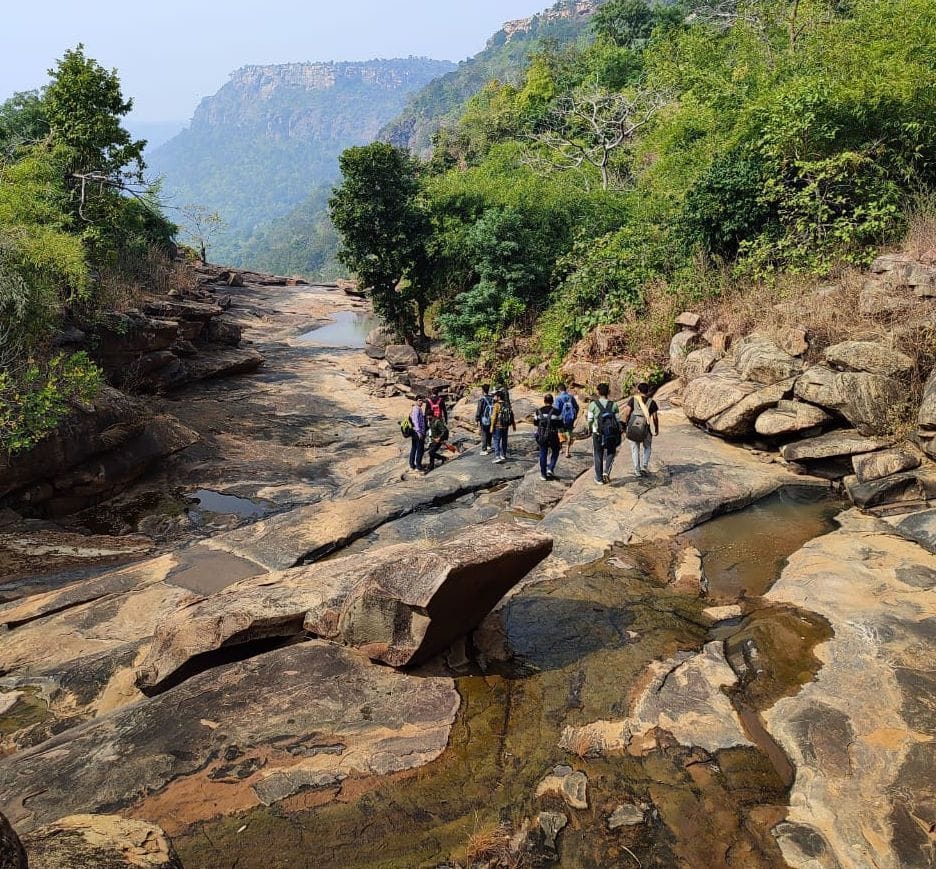 Will be able to see the rare sights of nature more closely