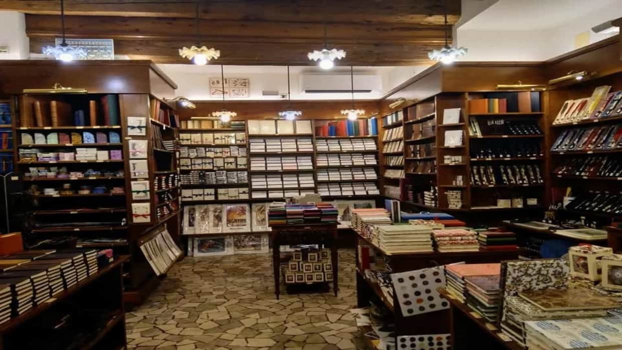 Optical Illusion: Can you Spot a cat in the bookstore in 11 seconds check your brain iq