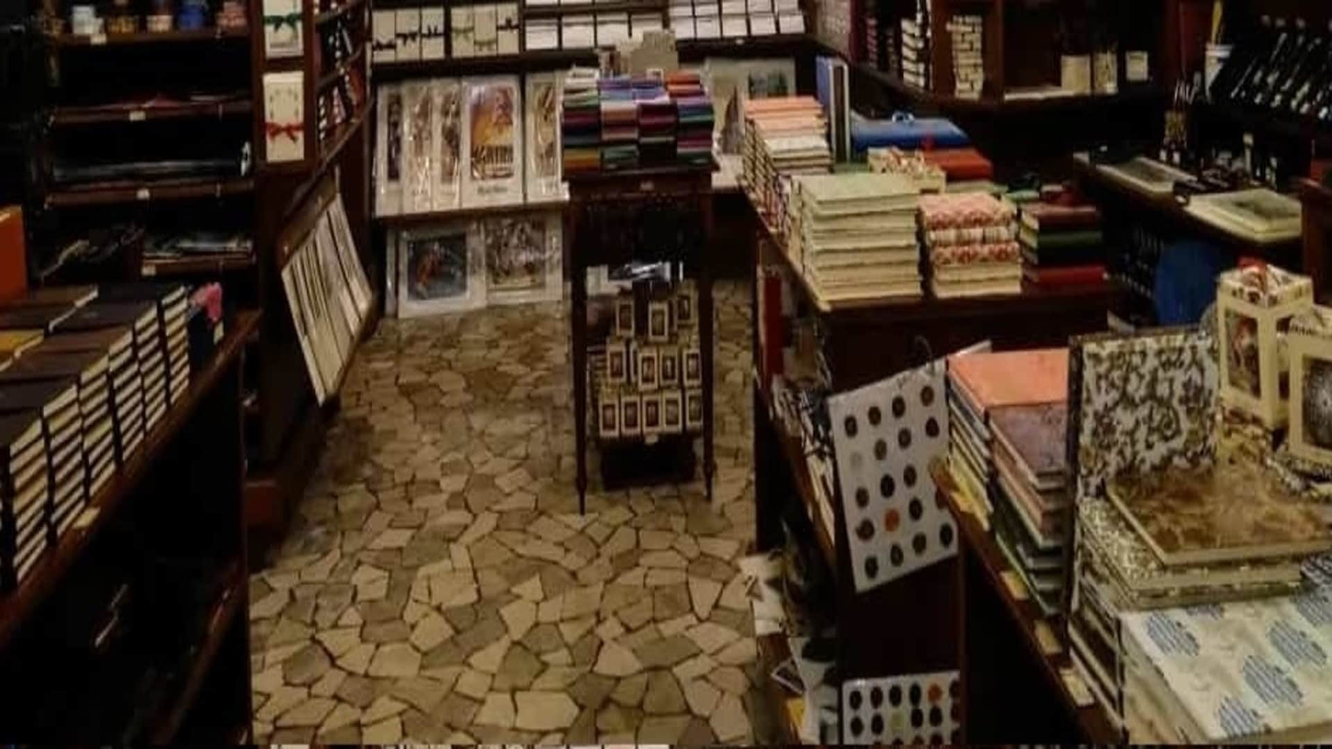 Optical Illusion: Can you Spot a cat in the bookstore in 11 seconds check your brain iq