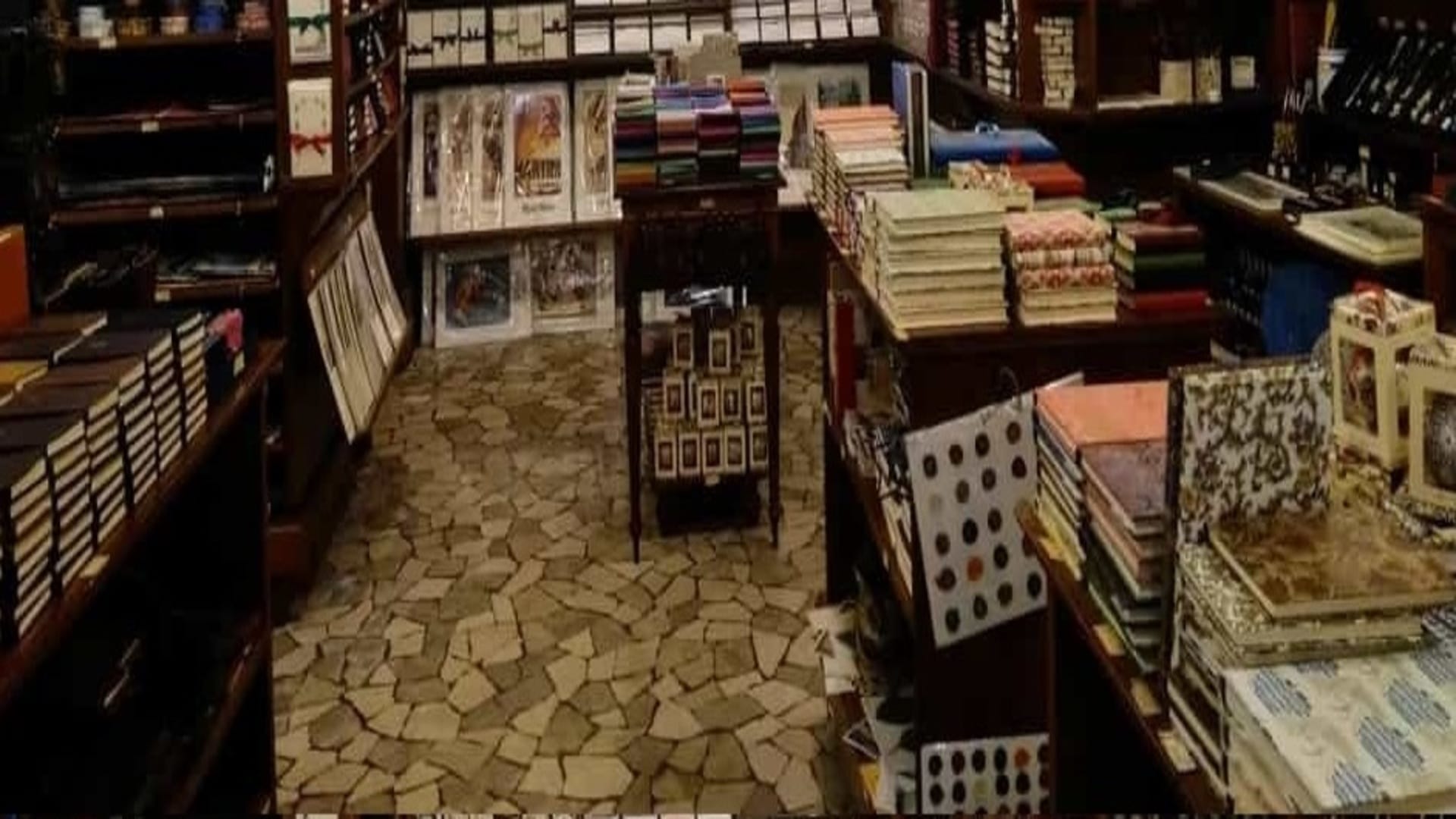 Optical Illusion: Can you Spot a cat in the bookstore in 11 seconds check your brain iq