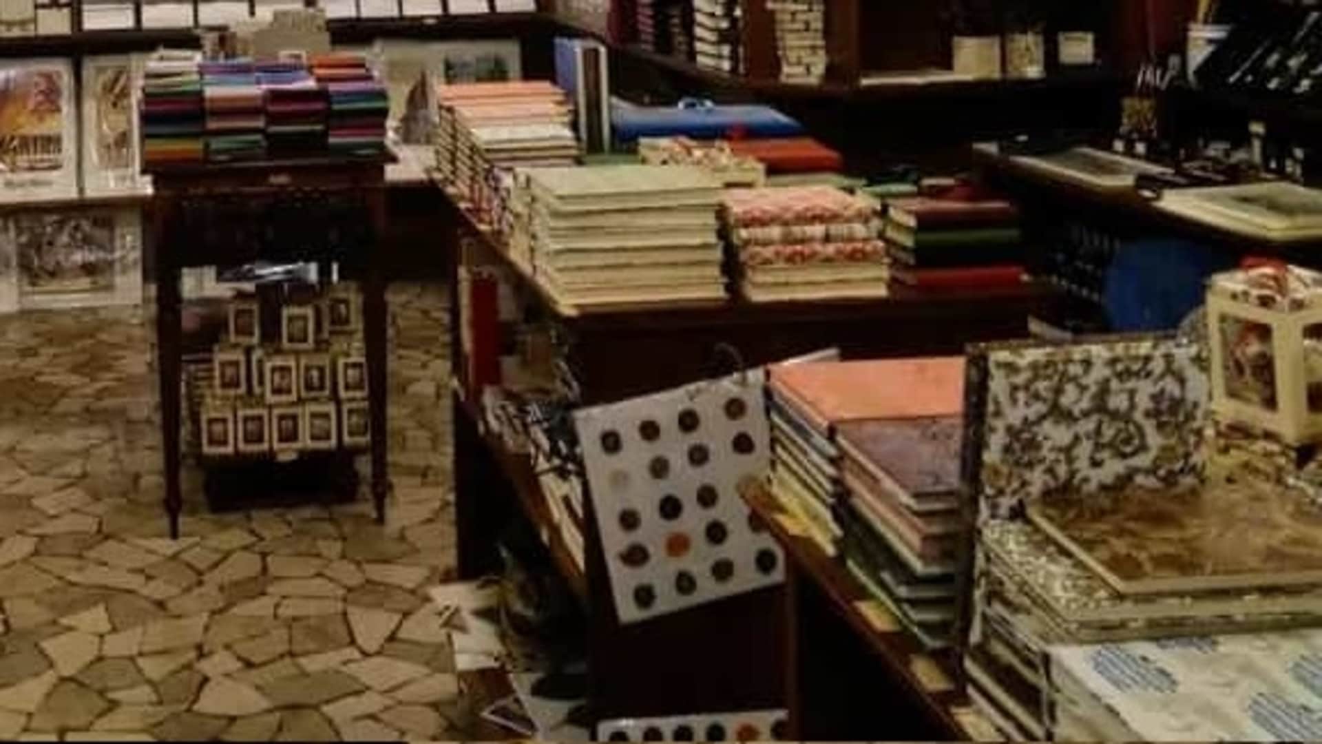 Optical Illusion: Can you Spot a cat in the bookstore in 11 seconds check your brain iq