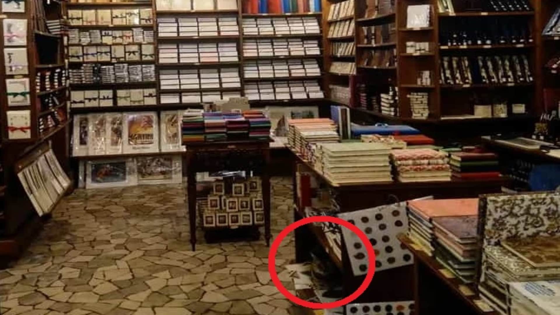 Optical Illusion: Can you Spot a cat in the bookstore in 11 seconds check your brain iq