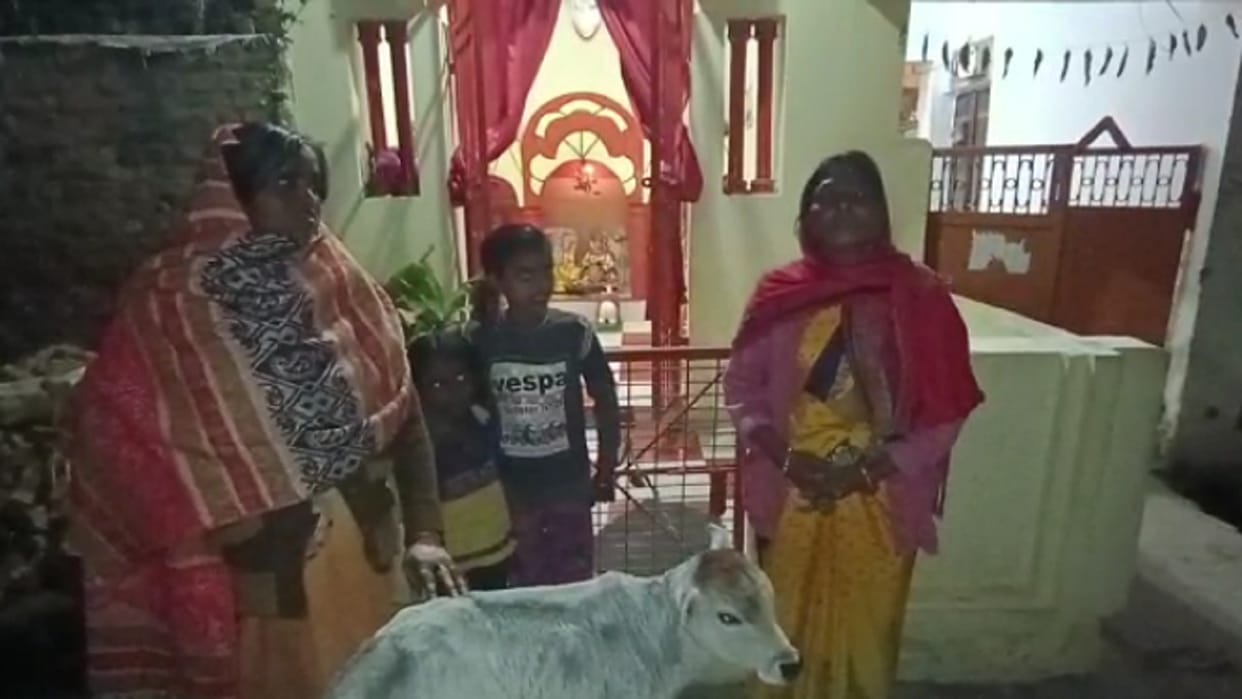 Municipal employees took away the cow, the calf was hungry for 24 hours, the people of the locality