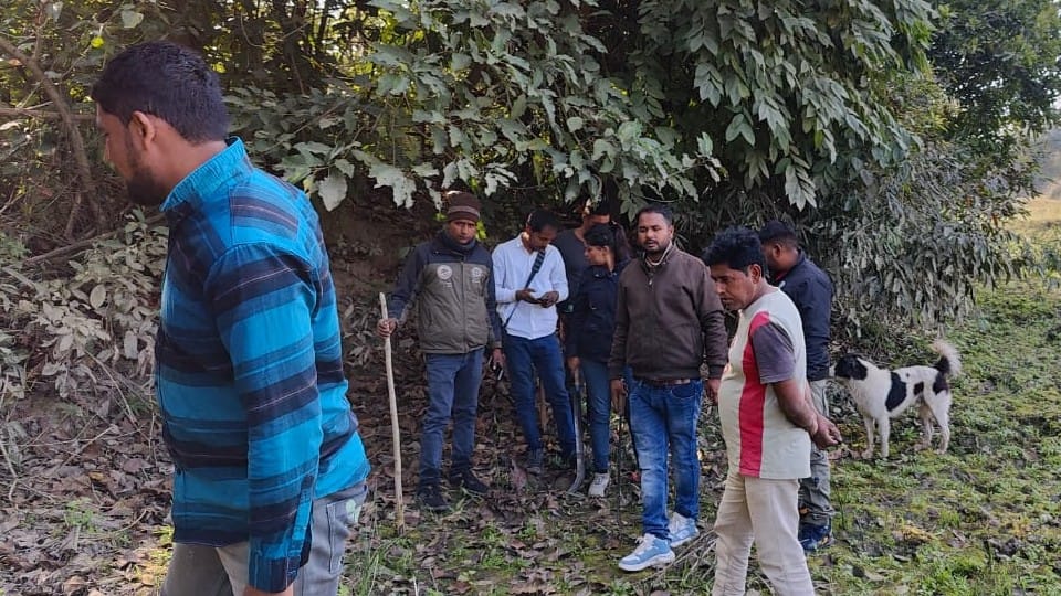 Tiger roaming around village after hunting a man in Pilibhit