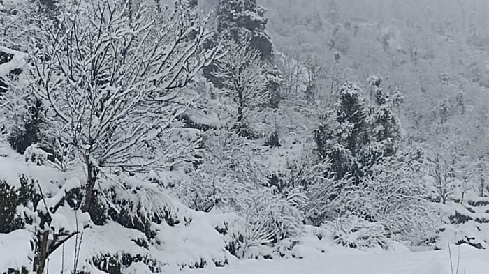 snowfall in uttarakhand