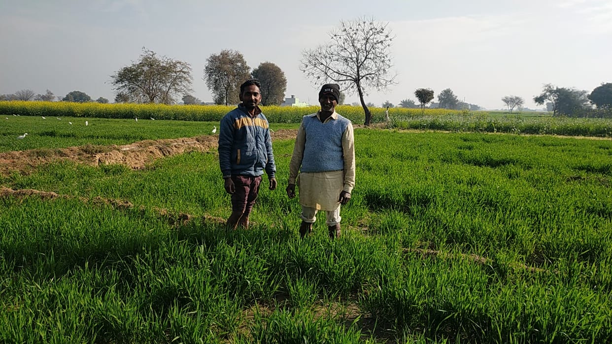 sirsa news